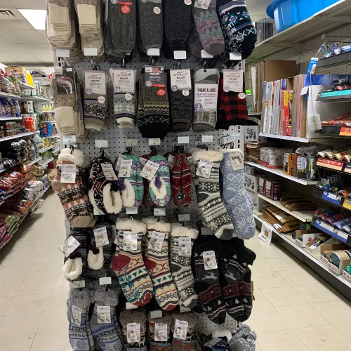 Colorful retail display of dog collars, leashes, and harnesses arranged on pegboard shelves, creating a bright, organized pet-supply scene.